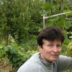 dollinarex