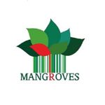 mangroves