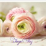 tanyascrap