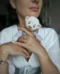 Makeeva Elena (melena82) - Livemaster - handmade