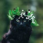 Kseniya-mkl - Livemaster - handmade