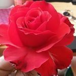 Goleva Svetlana - Ярмарка Мастеров - ручная работа, handmade