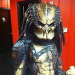 predatoravp