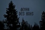devin-des-bois