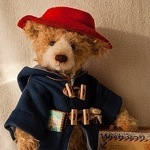 velvet-bear