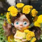 dolls-miniature