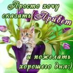 Аватар покупателя
