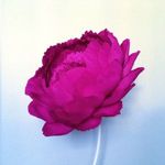 bigflowers77
