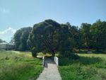 ullichka