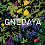 gnedaya-store