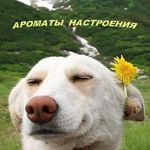 Aromaty Nastroeniya (Sergej) - Livemaster - handmade