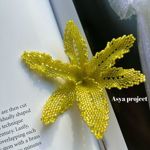 asyaproject
