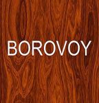 borovoy