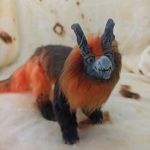 raznotvari