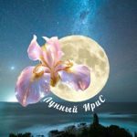 sergej-qwl