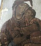 homepine--domashnyaya-sosna