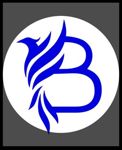 bogun-brend