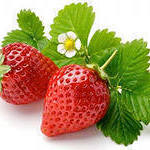 Strawberry (PikVik1999) - Livemaster - handmade