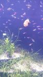 dori123