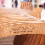too-parametrica