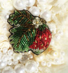broochi