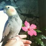 Кристина Нюренберг