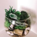 flores-in-vitro