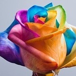 decoscrapfloris