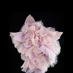 jabot