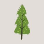 ecodecor-klmn