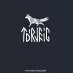 -torveig-wire-wrap-ukrasheniya-