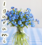 igurumi