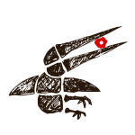 bird-shadow