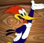 wildwoodystyle