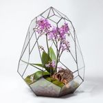 florarium (demandshop) - Livemaster - handmade