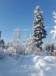 VaKoPet - Ярмарка Мастеров - ручная работа, handmade