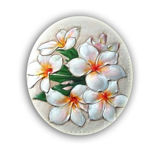 yanchikmi