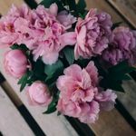 Аватар покупателя
