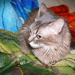 anna-kabanova