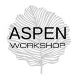 aspen-workshop