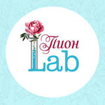 pionlab