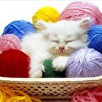 warmsocks