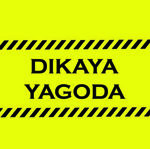 dy-home