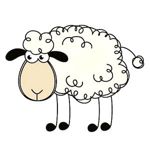curly-sheep