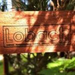 lobach