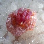 celandina