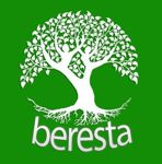 Beresta-2 - Livemaster - handmade