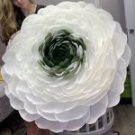 flowers-knowers