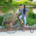 Irina  Shejkina - Livemaster - handmade