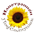 iliotropion